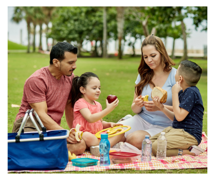 The Top 5 Family-Friendly Things to Do in Miami