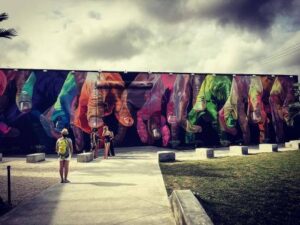Miami’s Wynwood Art District
