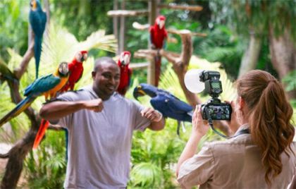 About Jungle Island