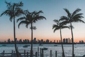 The Most Instagrammable Places in Miami