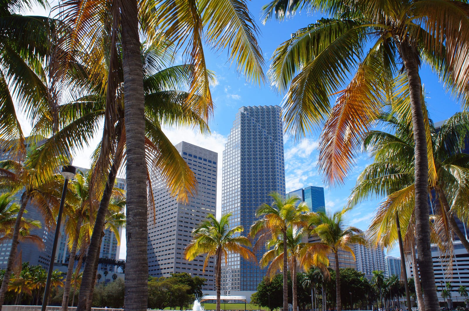 Bayfront Park Miami Gray Line Miami