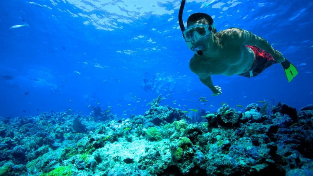 Top Activities to Enjoy in Miami This Summer