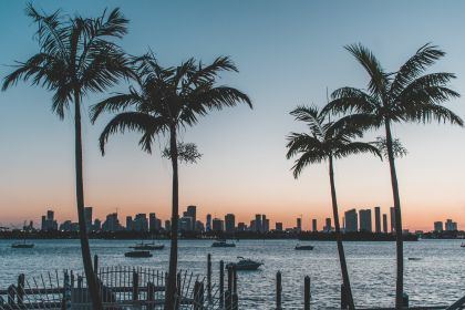 Some Fun Facts About Florida!